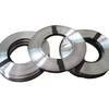 Stainless Steel Strips