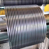 Stainless Steel Strips