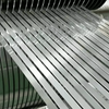 Stainless Steel Strips